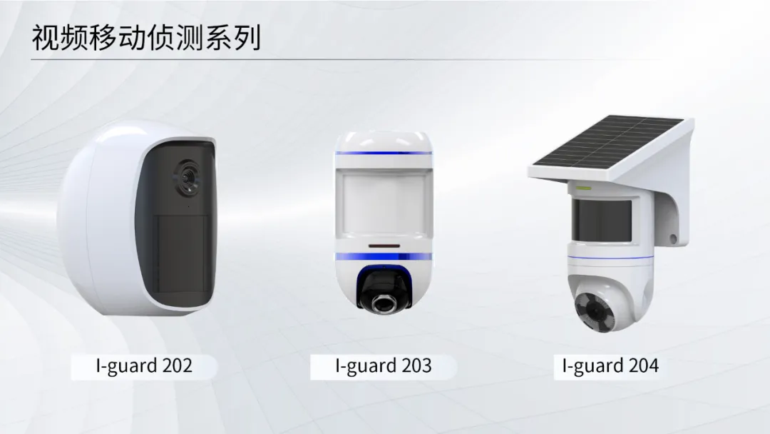 Video motion sensor alarm device